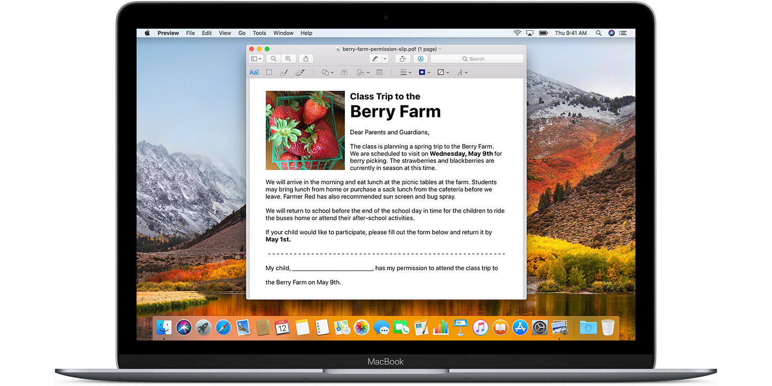 Download safari technology preview for mac